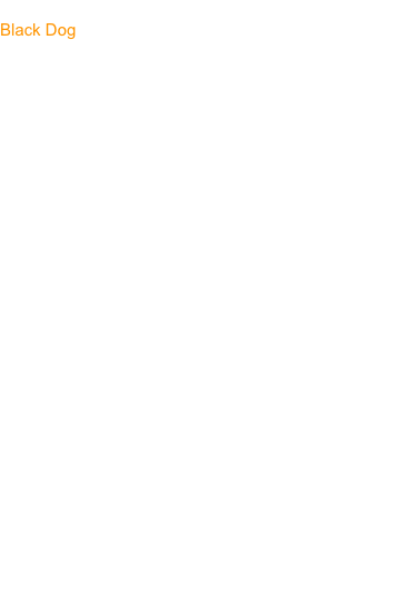 The following is a list of what expect when you hire  
Black Dog .

You will receive a clear and precise proposal detailing       the scope of our work.
We provide a full review of construction documents, drawings, and specs.  We red line and submit RFI’S prior to building.
We are a professional crew that follows strict safety requirements.
Chad Humes or a 10 year foreman will be on the job site everyday. 
We are a completely tooled crew with the latest in tool technology and staging.
We produce accurate material takeoffs and order materials.
Rain, snow, or shine we are on time & work 40+   hours a week.
We have never missed a deadline.
We have passed every framing inspection.
 We have completed every job with a 100%                                satisfaction of all parties involved.
 We seek perfection and produce quality.  Fellow trades call us finish framers because of our accuracy.
 We consider all trades as fellow workers and                            consider their craft an extension of ours.
 We keep a clean and organized job site. 

